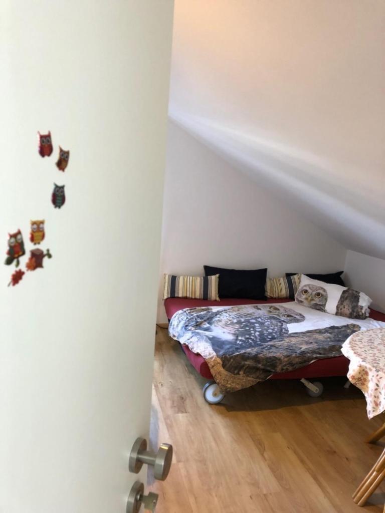 Ferienwohnung Eulennestle Lenzkirch Buitenkant foto