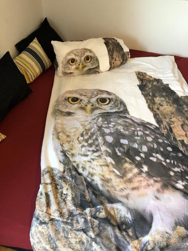 Ferienwohnung Eulennestle Lenzkirch Buitenkant foto